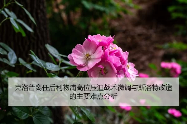 克洛普离任后利物浦高位压迫战术微调与斯洛特改造的主要难点分析
