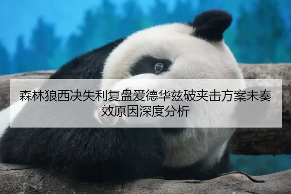 森林狼西决失利复盘爱德华兹破夹击方案未奏效原因深度分析